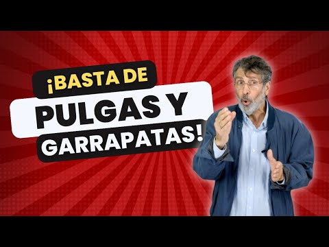 Video: Prevención de las Infestaciones con Pulga y Garrapata