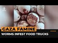 Worms, insects infest Gaza bound food stuck rotting in Egyptian sun | Al Jazeera Newsfeed