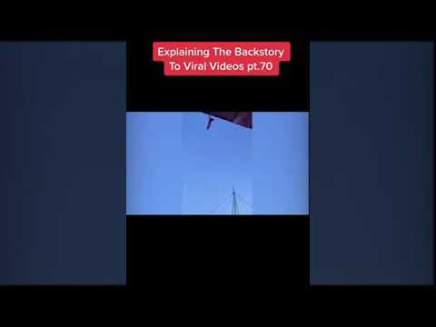 THIS CAT FALLS FROM STADIUMS UPPER FLOOR!! (EXPLAINING THE BACKSTORY TO VIRAL VIDEOS)