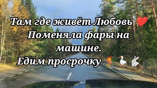 видео: Поменяла фары на машине 👀Едим просрочку 🐓🪿🐇#жизньвдеревне #тамгдеживетЛюбовь  картинка: Поменяла фары на машине 👀Едим просрочку 🐓🪿🐇#жизньвдеревне #тамгдеживетЛюбовь
