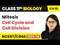 Term 2 Exam Mitosis - Cell Cycle and Cell Division | Class 11 Biology