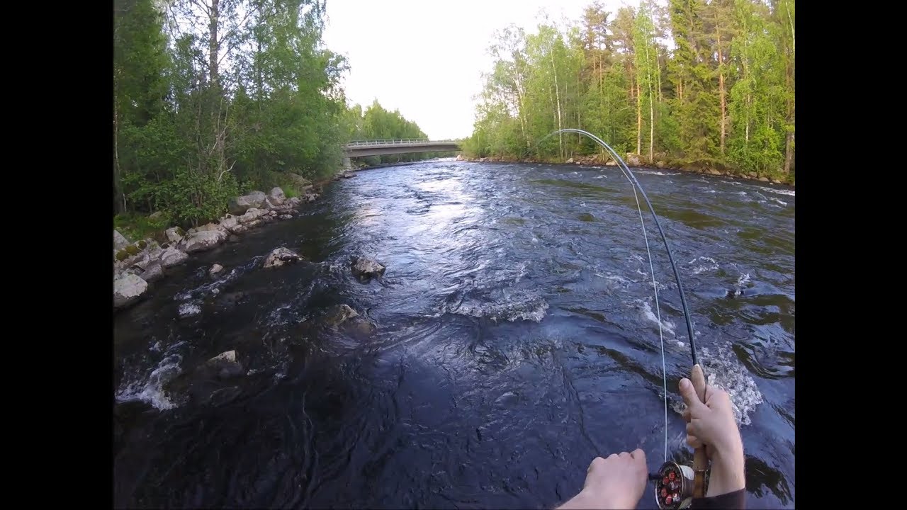 streamer kalastus streamer kalastus