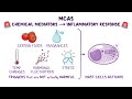 Mast cell activation syndrome