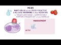Mast cell activation syndrome