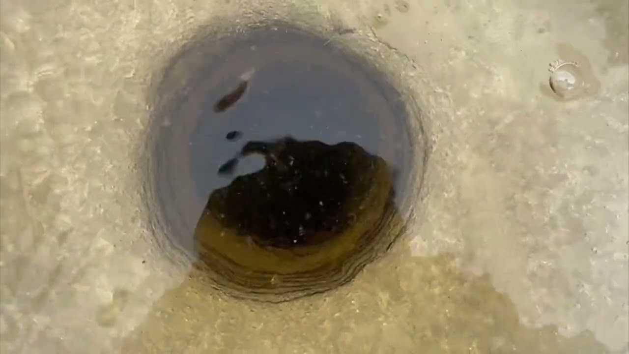 В домике выпал снег, но зато отлично ловили кроликов в выходные.