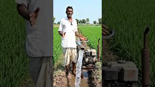 दस जगड स पन नकलन क कमल परन तरक स समरट खत