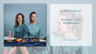 Video thumbnail of "Meritxell i Judit Neddermann - El Petit Vailet (Àudio Oficial)"