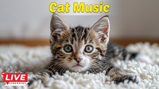 Music soothes cats' anxiety | Music for cats helps relax and sleep deeply  Music for cats