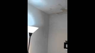 Do not rent from Lincoln Properties
