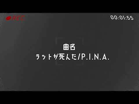 【Aviutl】ラットが死んだ