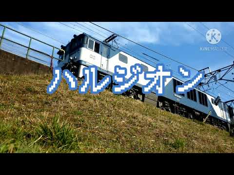ハルジオンで鉄道PV