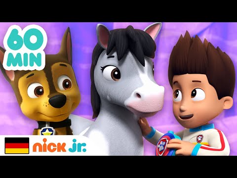 PAW Patrol | 1 Stunde voller Tierrettungen! | Nick Jr. Deutschland