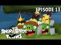 Angry Birds Toons | Chuckmania - S2 Ep13