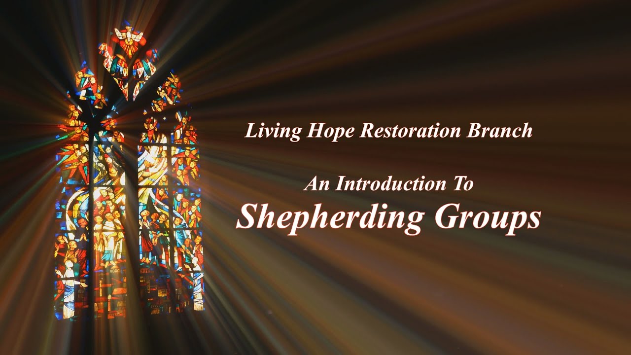Shepherding Groups Introduction
