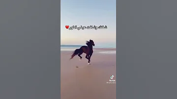شفتك شفتك حسين الجسمي 