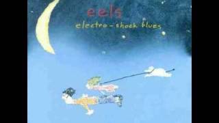 Eels - My Descent Into Madness