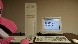 The comparing IBM Model F vs IBM Model M Keyboards with mechanical switches in the BACKROOMS