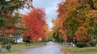 Fall Colors in an Old Suburban Neighborhoods in New York, USA  Driving Tour