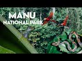 Beautiful Peru 4k - Incredible Nature and Wildlife of Manu National Park