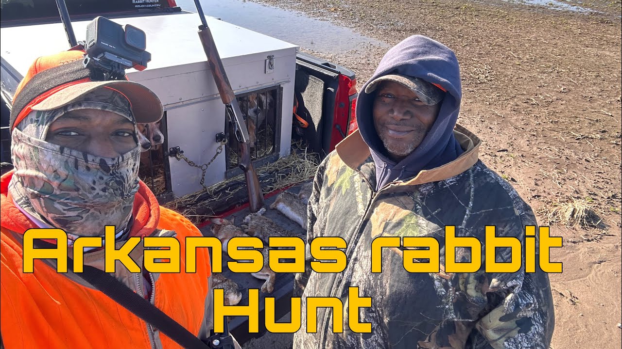 Rabbit hunting in Arkansas in thick canes - YouTube