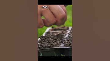 kids poems for motivation. #nextgenai #artificialintelligence #aitools