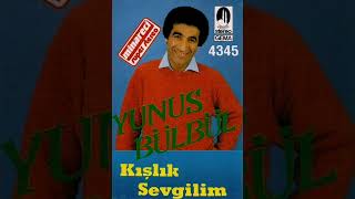 Yunus Bülbül - Habibimsin Resimi