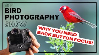Why YOU NEED Back Button & DOUBLE Back Button Focus & Why You will NEVER go back!
