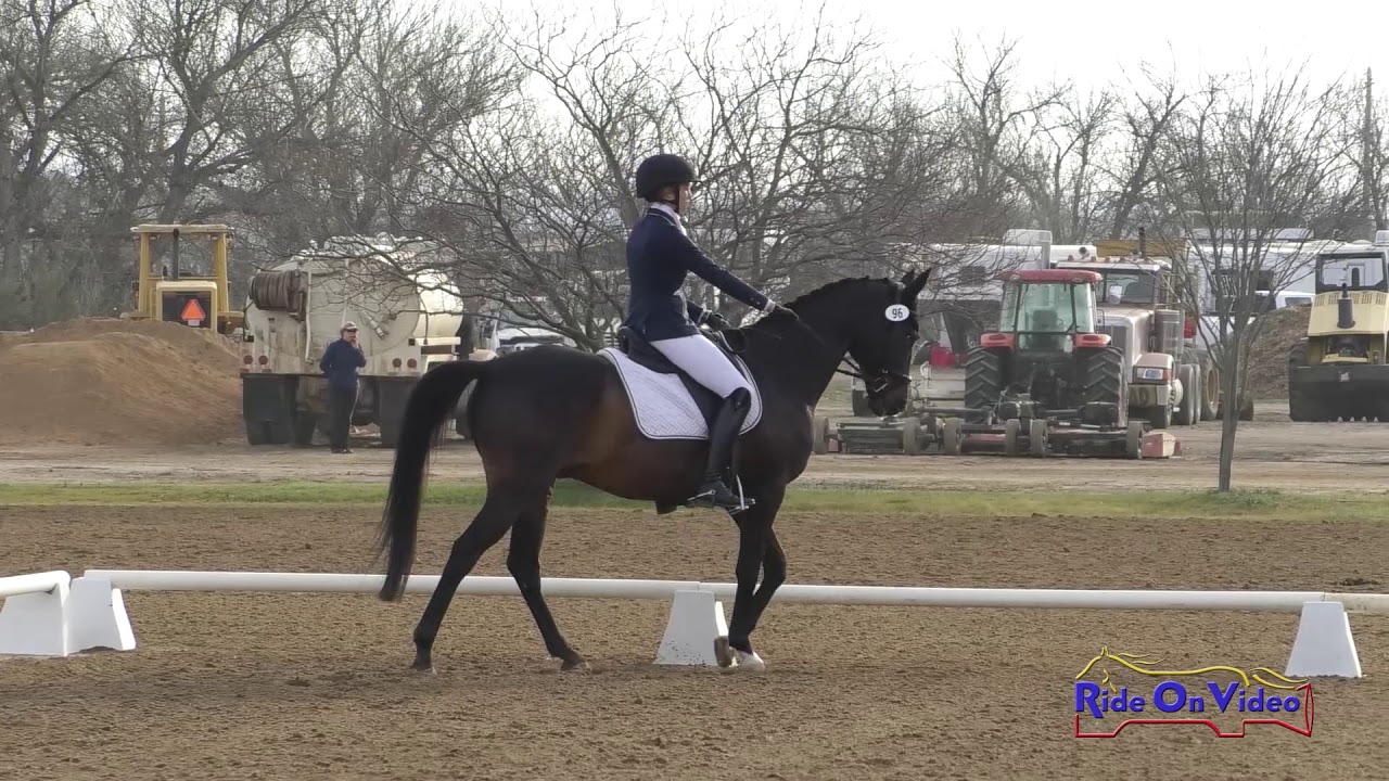 096D Sigourney Jellins on My Cheatin Heart Preliminary Rider Dressage