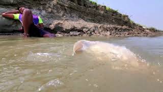 Really Incredible Fishing Method In River Underwater Big Monster Fish Catching with Chain#fishing