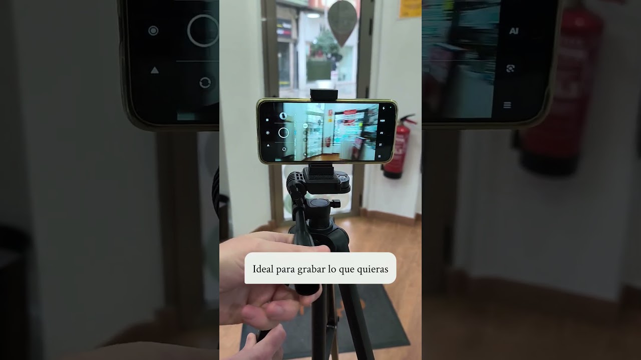 Neewer tripod TP53: ¿El mejor por este precio? 