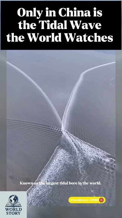 An amazing natural phenomenon at the Kiantang River estuary, Zhejiang, China. #worldhistory #shorts