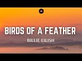 Billie Eilish BIRDS OF A FEATHER Lyrics Billie Eilish BIRDS OF A FEATHER Lyrics