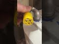 It’s NOT SUPPOSE to do that! #electrician #industrialelectrician #gfci