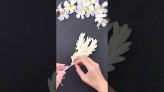 DIY Crafts from Fallen Frangipani Flowers – The Results Are Shocking! | Unique & Aesthetic DIY