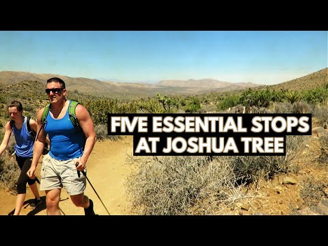 5-key-stops/1-day---joshua-tree-national-park