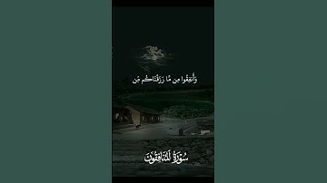 تلاوة خاشعة مؤثرة #القران_الكريم