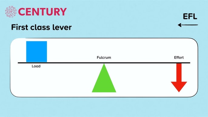 Explain What Distinguishes First Class Levers From Second And Third