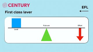 First, Second & Third Class Levers | PE