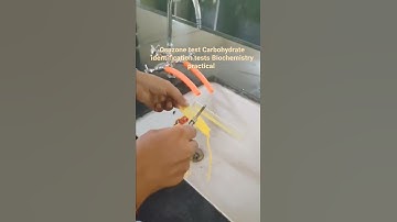 Osazone test Carbohydrate identification tests Biochemistry practical