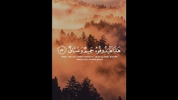 قرآن كريم بصوت جميل جدا 💚 محمد اللحيدان تلاوة مؤثرة جدا