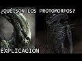 ¿Qué son los Protomorfos? EXPLICACIÓN | Los Protomorfos del Universo de Alien EXPLICADOS