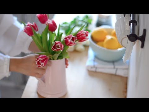 صباح رايق مع أجواء ربيعية فلوق بدون موسيقى بأصوات الطبيعة