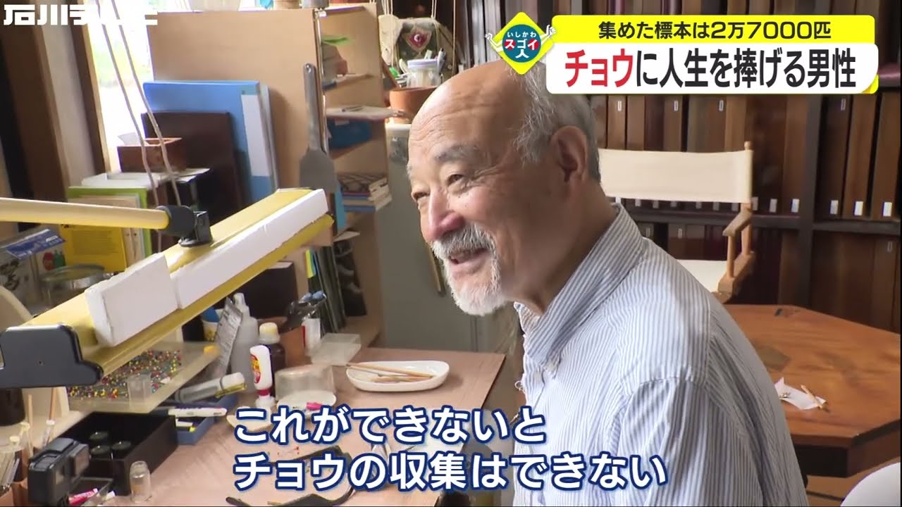集めた標本は2万7000匹 チョウに人生を捧げる男性（いしかわスゴイ人