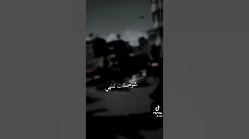 كلي ياكلبي شوكت تنتهي صفناتك 