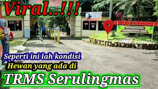 Kebun binatang SERULINGMAS BANJARNEGARA || wisata edukasi taman rekreasi marga satwa ( TERBARU )