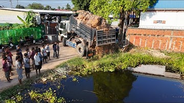 First Start New Perfect Project COMPLETE100% Clearing POND by Bulldozer Push, Dump Truck Overloading