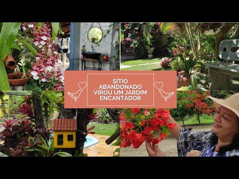 Vídeo: Cuidados com jardins ribeirinhos: informações sobre ecossistemas ribeirinhos