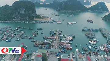 Cái Rồng: Truyền thuyết và lịch sử | QTV