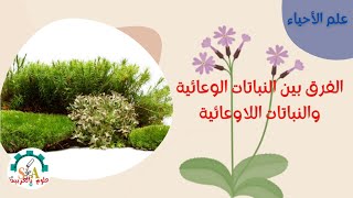 الفرق بين النباتات اللاوعائية والنباتات الوعائية- علوم بالعربية