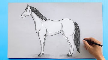 How to Draw a Horse 🐴